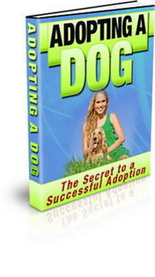 Product picture Learn How To Adopting A DOG (PLR)